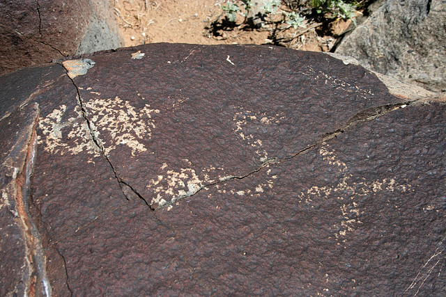 Three Rivers Petroglyphs (5856)