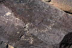 Three Rivers Petroglyphs (5857)