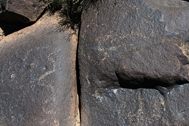 Three Rivers Petroglyphs (5858)