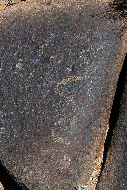 Three Rivers Petroglyphs (5859)