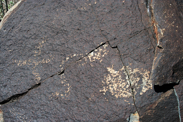 Three Rivers Petroglyphs (5860)