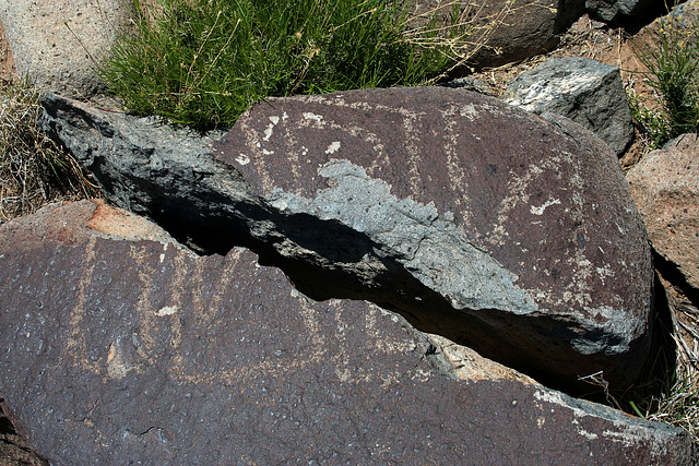Three Rivers Petroglyphs (5861)