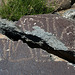 Three Rivers Petroglyphs (5861)