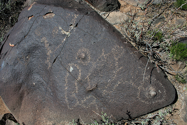 Three Rivers Petroglyphs (5863)