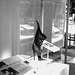 Female Supremacy /  Suprématie de la Femme - Bata shoe Museum-