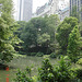 Central park's pond  /   Les étangs de New-York -  Juillet 2008