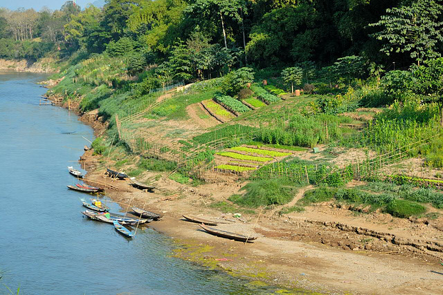 At the riverbank of Nam Khan