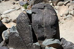 Three Rivers Petroglyphs (5864)