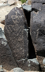 Three Rivers Petroglyphs (5865)