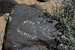 Three Rivers Petroglyphs (5866)