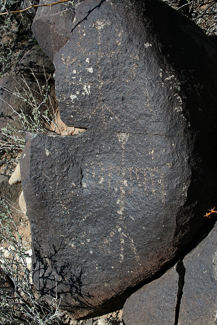 Three Rivers Petroglyphs (5867)