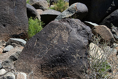 Three Rivers Petroglyphs (5868)