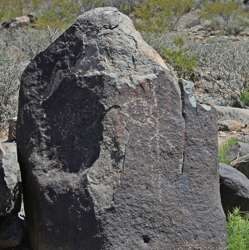 Three Rivers Petroglyphs (5869)