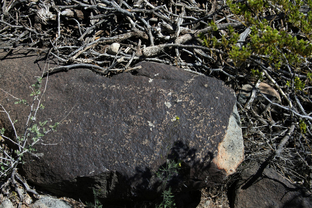 Three Rivers Petroglyphs (5870)