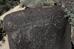 Three Rivers Petroglyphs (5872)