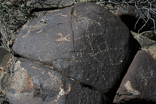 Three Rivers Petroglyphs (5875)