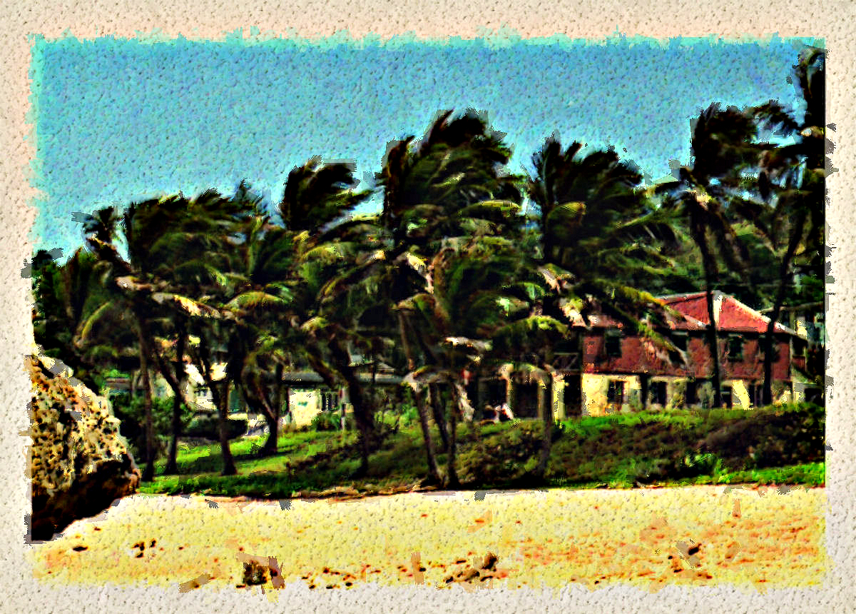 Beachfront Houses