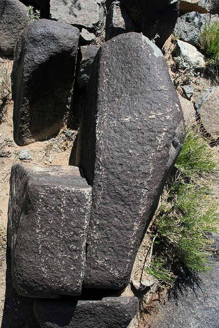 Three Rivers Petroglyphs (5876)