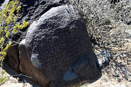 Three Rivers Petroglyphs (5879)