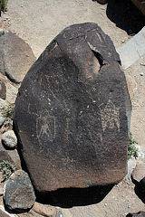 Three Rivers Petroglyphs (5880)