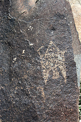 Three Rivers Petroglyphs (5881)
