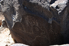 Three Rivers Petroglyphs (5883)