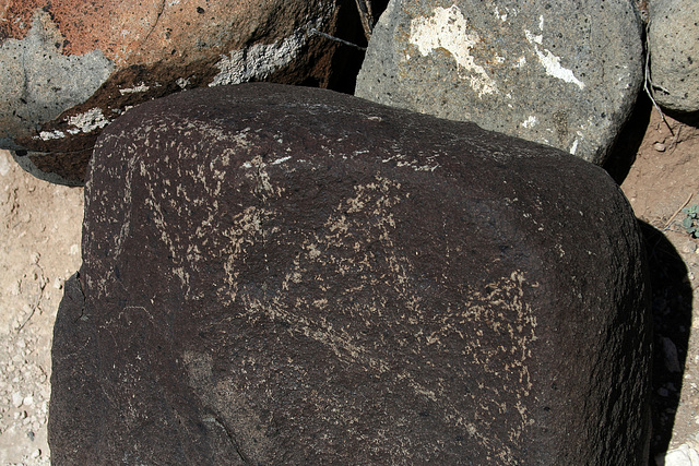 Three Rivers Petroglyphs (5884)