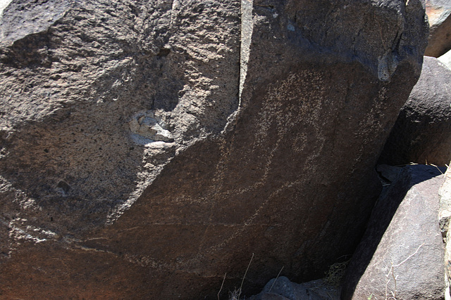 Three Rivers Petroglyphs (5888)