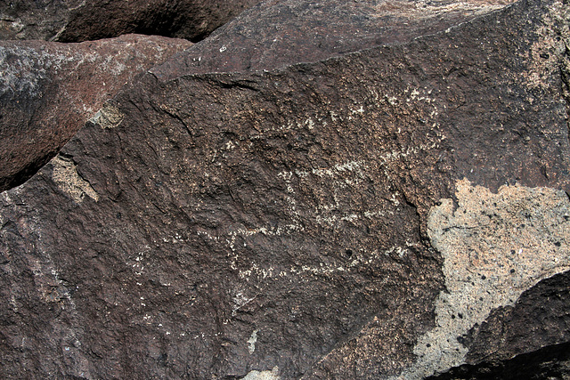 Three Rivers Petroglyphs (5889)