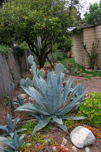 L.A. Garden Tour (6664)