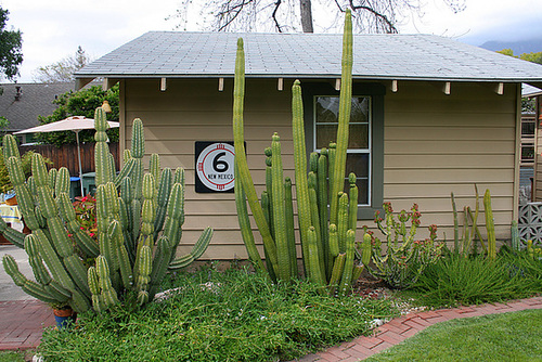 L.A. Garden Tour (6670)