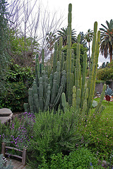 L.A. Garden Tour (6700)