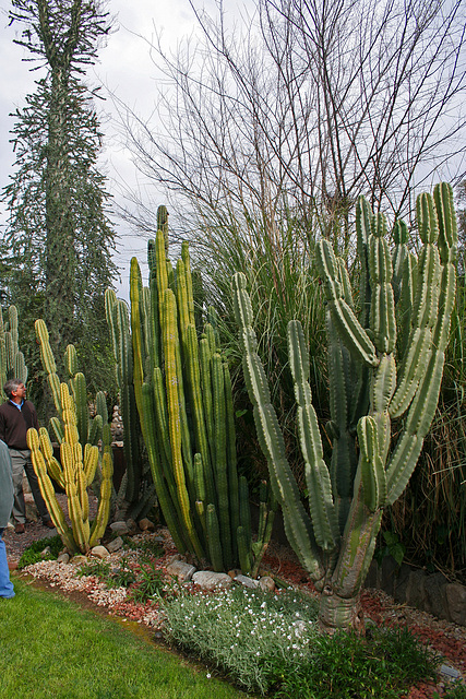 L.A. Garden Tour (6711)