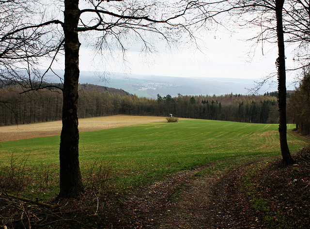 Blick vom Krekeler Berg ins Wesertal