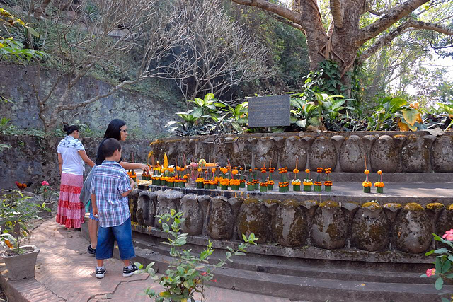 Buddhist believers donate for the Bodhi Tree