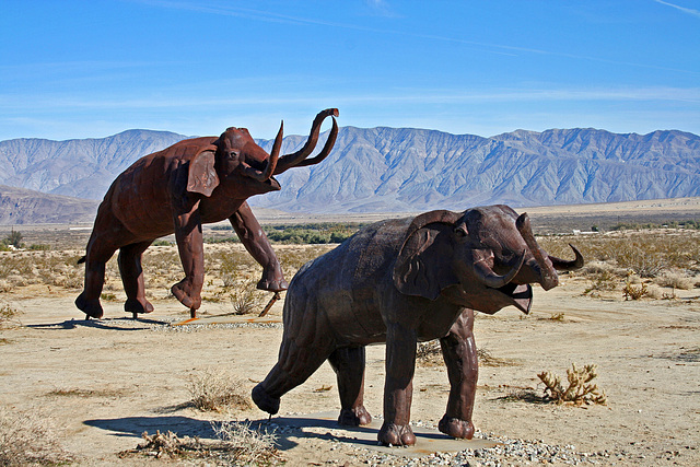 Galleta Meadows Estates Mastodon Sculpture (3629)