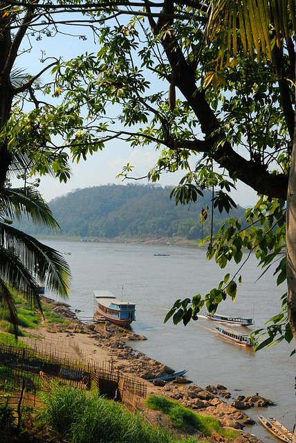 Mekong river bank