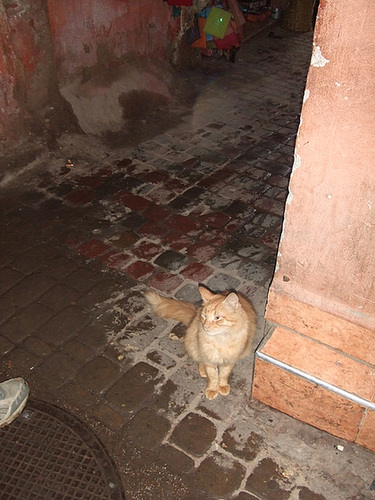 Maroc 016