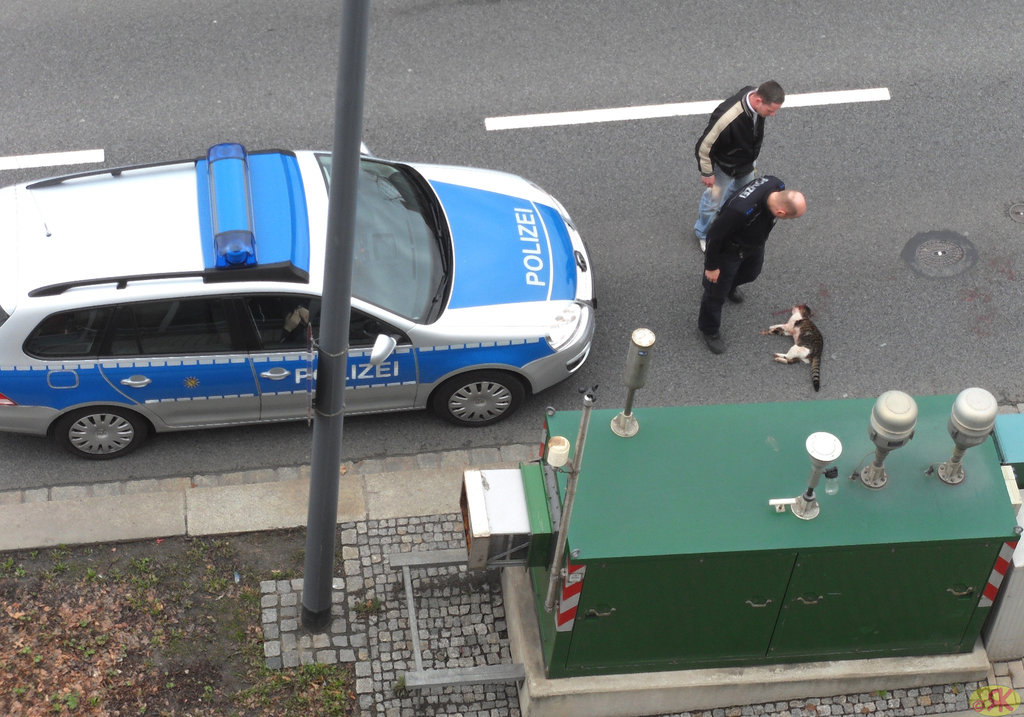 2010-03-27 2 Opfer, Mörder, Polizei