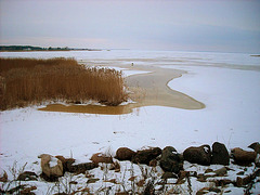 La ĉeborda maro. Haapsalu