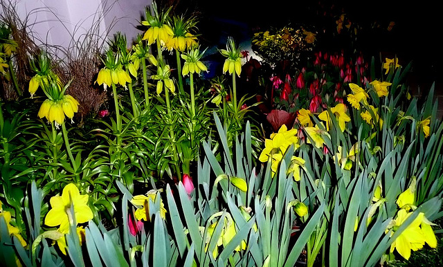 Dresdner Frühling im Palais 2010