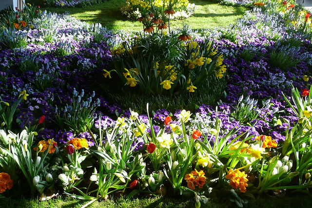 Dresdner Frühling im Palais 2010