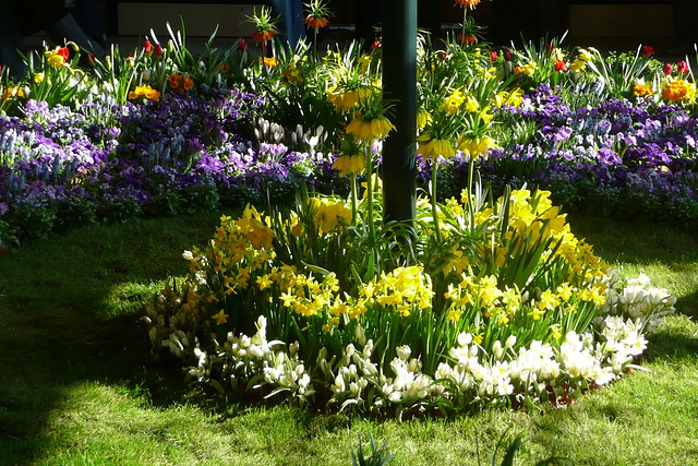 Dresdner Frühling im Palais 2010