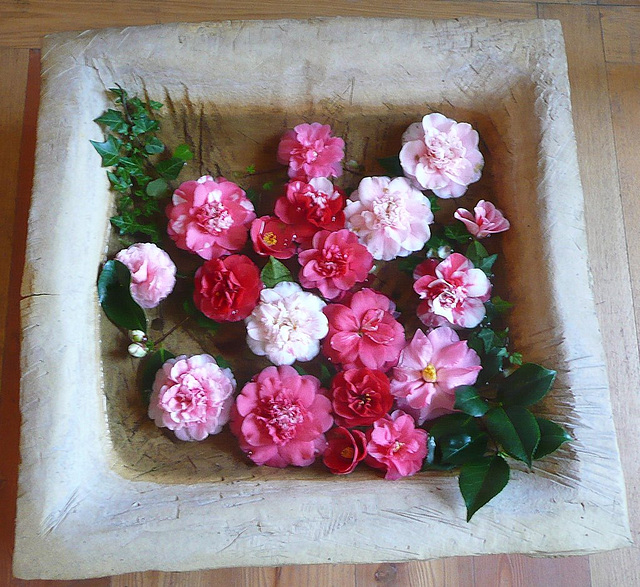 Bouquet von Kamelienblüten