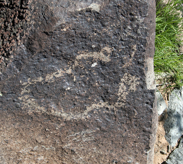 Three Rivers Petroglyphs (5850)