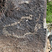 Three Rivers Petroglyphs (5850)