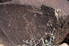 Three Rivers Petroglyphs (5852)