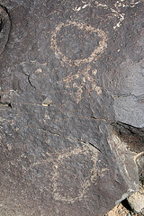 Three Rivers Petroglyphs (5853)