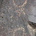 Three Rivers Petroglyphs (5853)