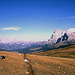 Alpen-5-022-81aw [I] Dolomiten, Langkofel, Seiseralm